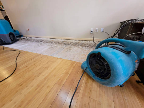 Professional Flood Damage Cleanup technician working in Saint Benedict, OR